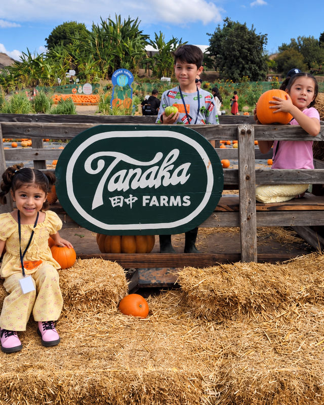 Children posing with pumpkins beside the Tanaka Farms sign and hay bales.